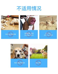 莫迪思 modus 自動(dòng)超聲波止吠器 智能訓(xùn)導(dǎo)專家的無(wú)聲助手